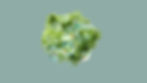 Eclectic glass 3D cube of smaller glass cubes brimming with various types of greenery